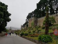 Templerburg in Baiona (5)