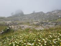 Keltendorf Castro de Santa Tegra (1)