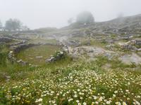 Keltendorf Castro de Santa Tegra (3)