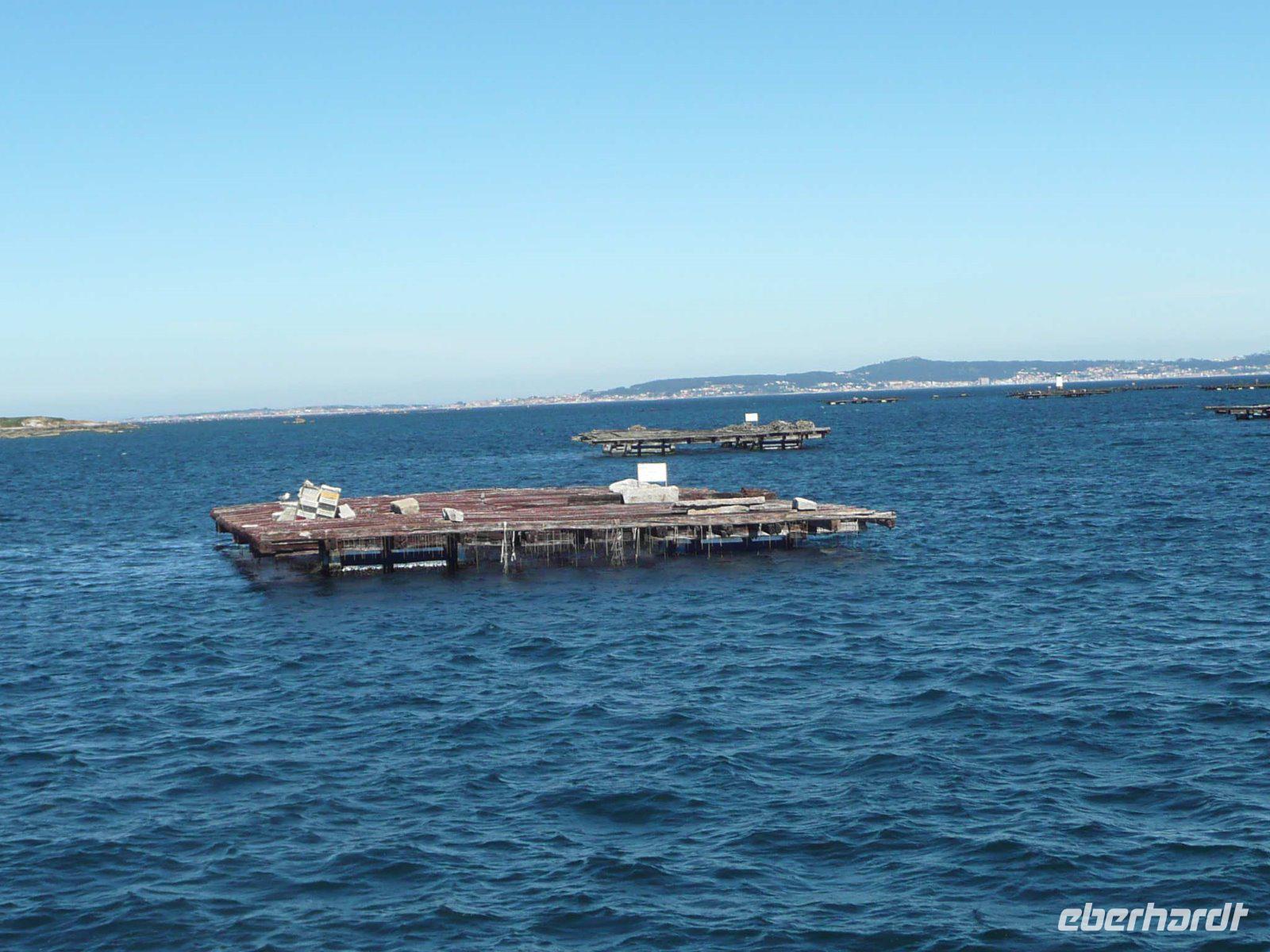 Muschelbänke in der Bucht von Arousa