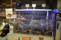 Supermarkt am Bussparkplatz