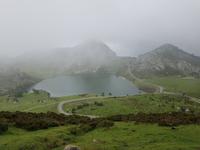 Wanderung bei den Covadonga-Seen (7)