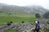 Wanderung bei den Covadonga-Seen (13)