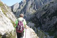 Cares Schlucht Wanderung - Picos de Europa (17)