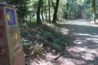 Auf dem Jakobsweg von Arzua nach O Pino (4)