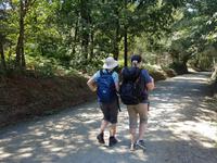 Auf dem Jakobsweg von Arzua nach O Pino (5)