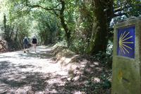 Auf dem Jakobsweg von Arzua nach O Pino (7)