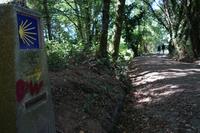 Auf dem Jakobsweg von Arzua nach O Pino (8)