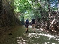 Auf dem Jakobsweg von Arzua nach O Pino (9)