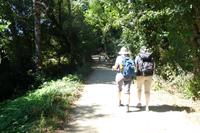 Auf dem Jakobsweg von Arzua nach O Pino (10)