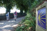 Auf dem Jakobsweg von Arzua nach O Pino (11)