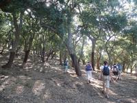 Grazalema Wanderung (2)