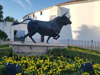 Stadtrundgang in Ronda (3)