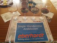 Weinverkostung bei Ronda (1)