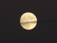 Hotel Cortijo Salinas bei Ronda (9)