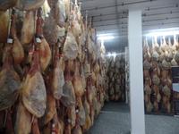 Schinkenverkostung bei Trevelez (1)