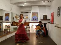 Flamenco Nacht in Alpujarras (1)