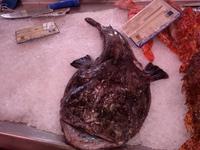 Fischmarkt Ciutadella