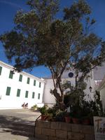 IMG_20180927_112937661