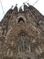 Die Sagrada Familia in Barcelona (11)