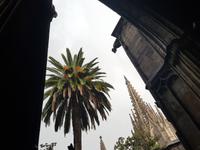 Kathedrale in Barcelona (1)