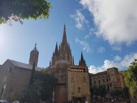 Kathedrale in Barcelona (4)