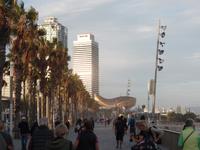 Spaziergang am Strand in Barcelona (5)