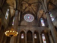 Santa Maria del Ma Kirche in Barcelona (3)