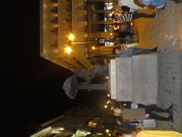 252 Bär mit Erdbeebaum