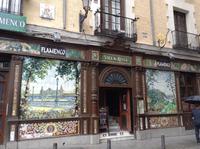 tolle Kacheln und Wandbilder in den Altstadtgassen