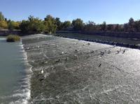 Wasservogelparadiese