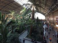 der Bahnhof Atocha in Madrid