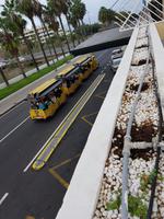 Teneriffa, Puerto de la Cruz, Minizug zum Loro Park