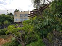 Teneriffa, Puerto de la Cruz, Risco Bello