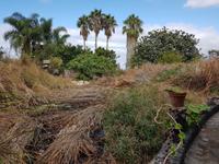 Teneriffa, Puerto de la Cruz, Risco Bello