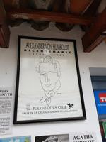 Teneriffa, Puerto de la Cruz, Garten Sitio Litre