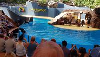 Teneriffa, Puerto de la Cruz, Loro Park