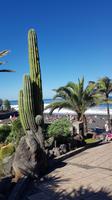 Teneriffa, Puerto de la Cruz zum Strand