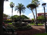 Teneriffa, Puerto de la Cruz, Schwanenbrunnen vor der Kirche