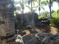 Teneriffa, Puerto de la Cruz, Loro Park