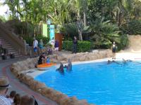 Teneriffa, Puerto de la Cruz, Loro Park