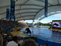 Teneriffa, Puerto de la Cruz, Loro Park