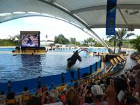 Teneriffa, Puerto de la Cruz, Loro Park