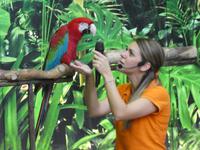 Teneriffa, Puerto de la Cruz, Loro Park