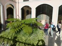 Teneriffa, La Orotava, Rathaus