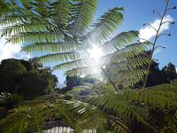 Teneriffa, La Orotava