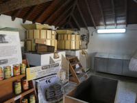 Teneriffa, La Orotava, Gofiomühle