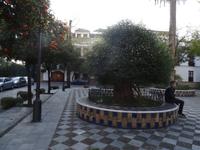 Einer der vielen Plätze in Sevillas Altstadt