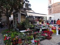 Blumenmarkt in Cádiz