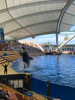 Loro Parque